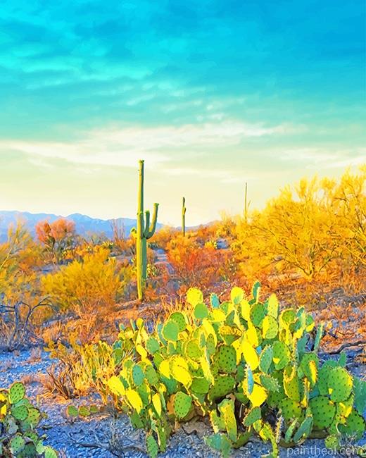 Saguaro National Park Painting By Numbers Kits