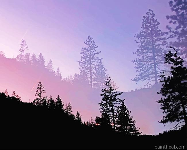 Yosemite Valley Trees Silhouette Painting By Numbers Kits