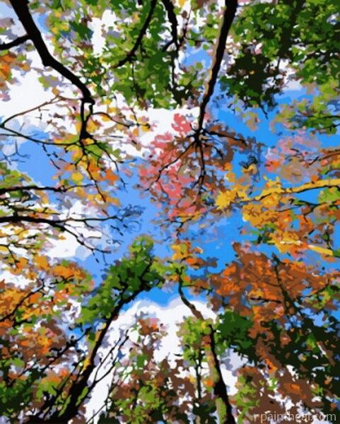 Forest Autumn Trees Painting By Numbers Kits