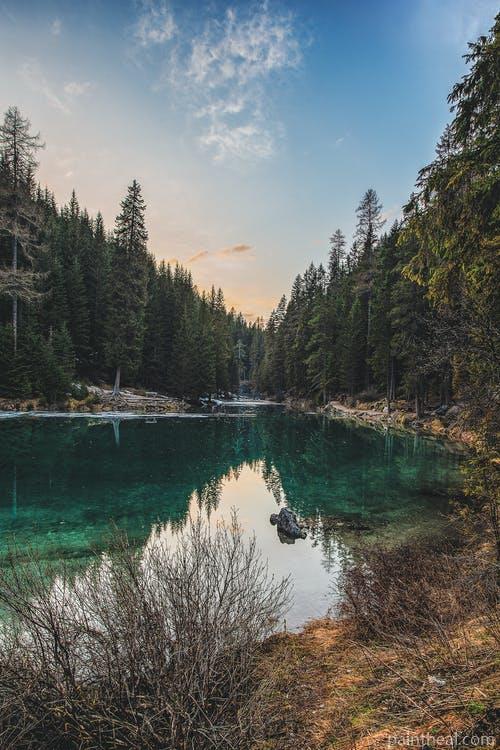Forest Lake Painting By Numbers Kits