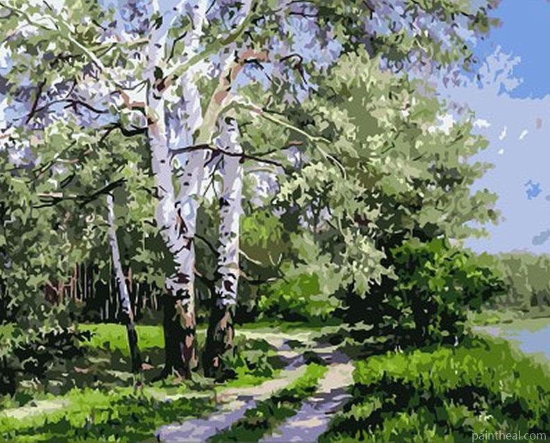 Nature Forrest Way Painting By Numbers Kits