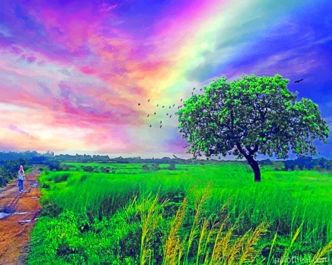 Field Rainbow View Painting By Numbers Kits