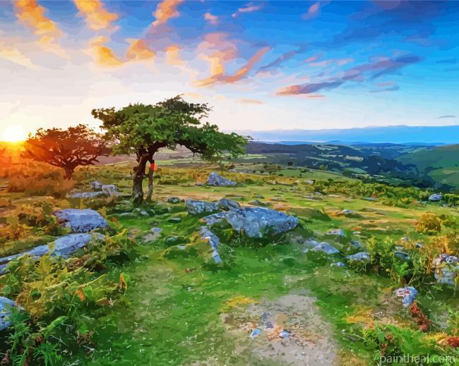 England Dartmoor National Park Painting By Numbers Kits