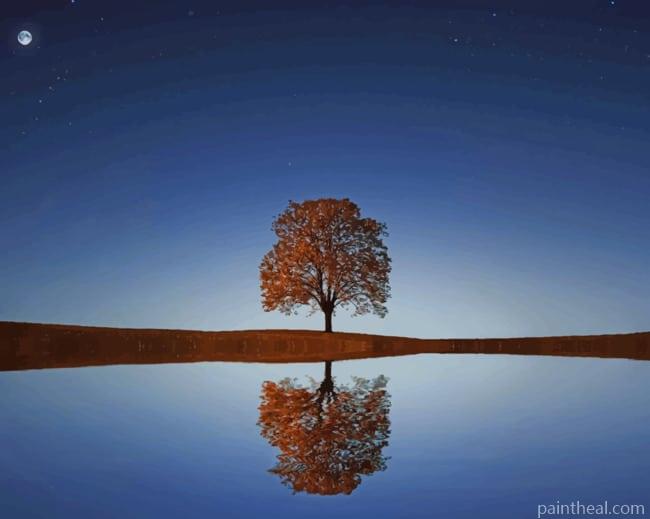 Reflected Tree Painting By Numbers Kits