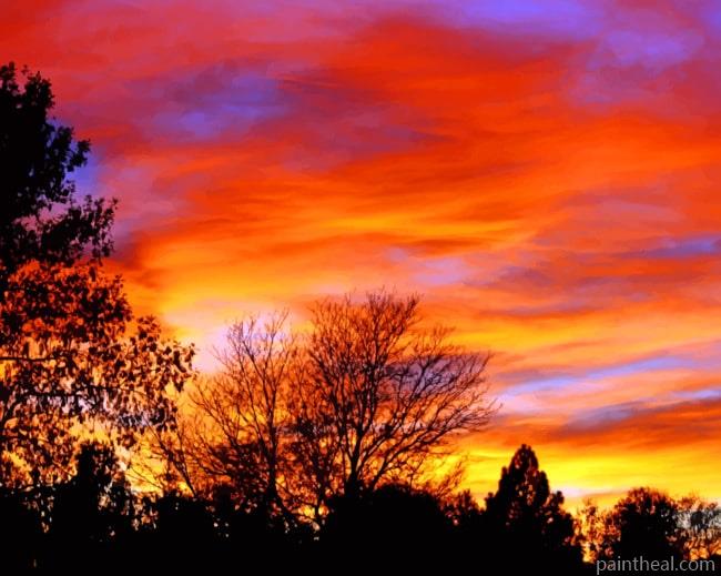 Sunset Trees Silhouette Painting By Numbers Kits