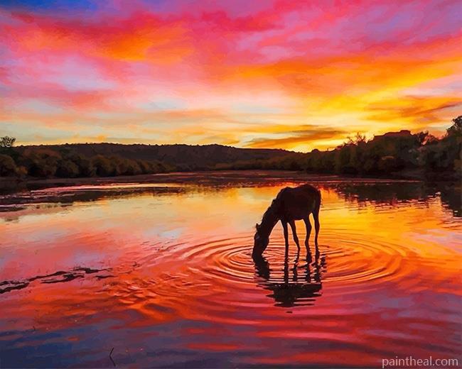 Arizona Horse Sunset Painting By Numbers Kits