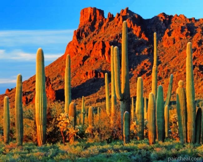 Cactus Plants Desert Painting By Numbers Kits