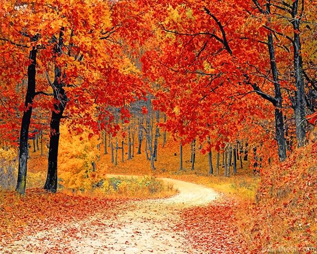 Fall Red Forest Painting By Numbers Kits