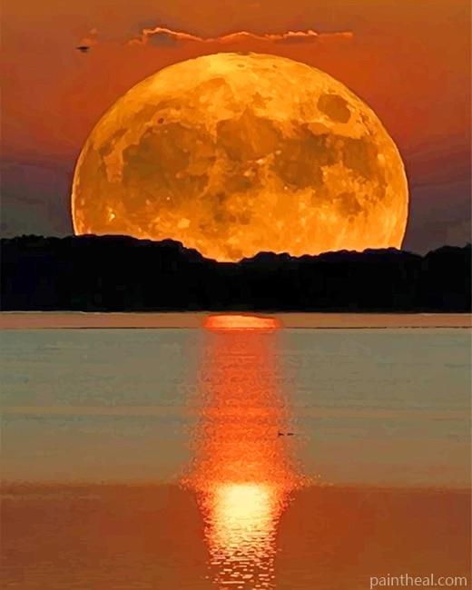 Full Moon Painting By Numbers Kits