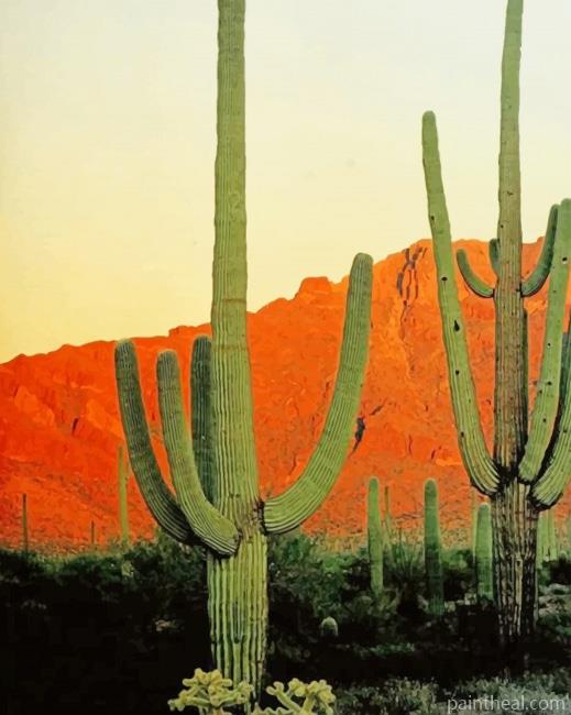 Big Cactus Mountains Painting By Numbers Kits