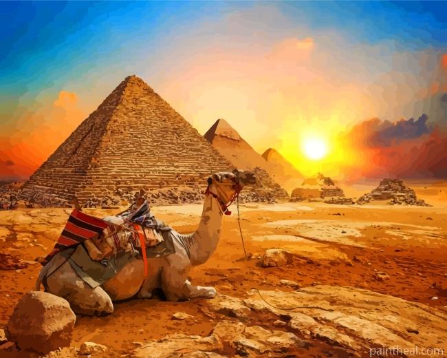 Egypt Desert Camel Painting By Numbers Kits