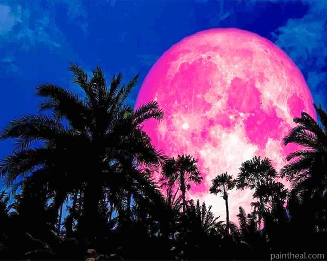 Full Pink Moon Painting By Numbers Kits