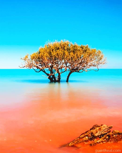 Kimberley Broome Australia Painting By Numbers Kits
