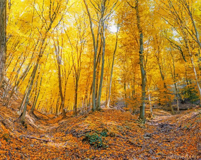 Yellow Forest Painting By Numbers Kits