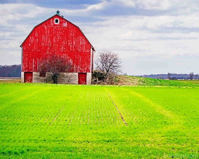 Barn Green Field Painting By Numbers Kits
