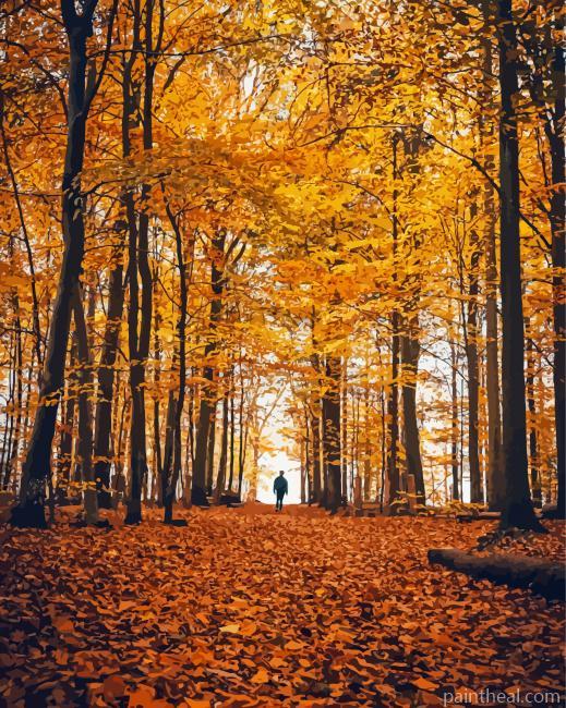 Aesthetic Yellow Forest Painting By Numbers Kits