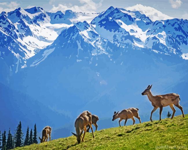 Olympic National Park Mountains Painting By Numbers Kits