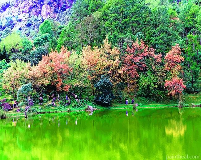 Green Lake Painting By Numbers Kits