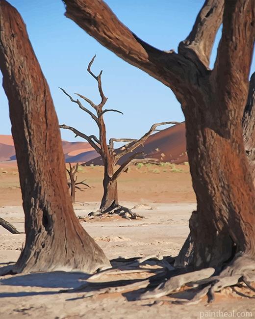 Dead Tree Desert Painting By Numbers Kits