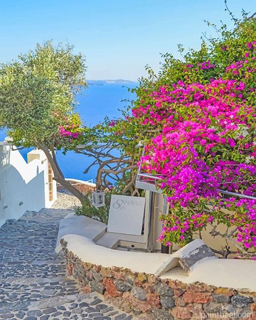 Santorini Greece Pink Flowers Painting By Numbers Kits