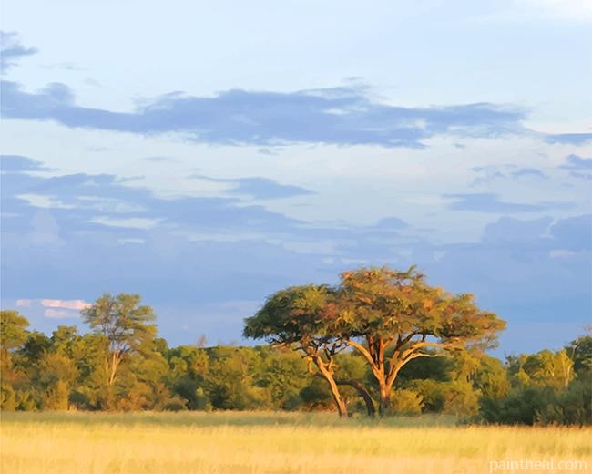 African Acacia Trees Painting By Numbers Kits