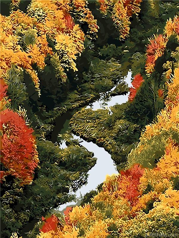 Porcupine River Forest Painting By Numbers Kits