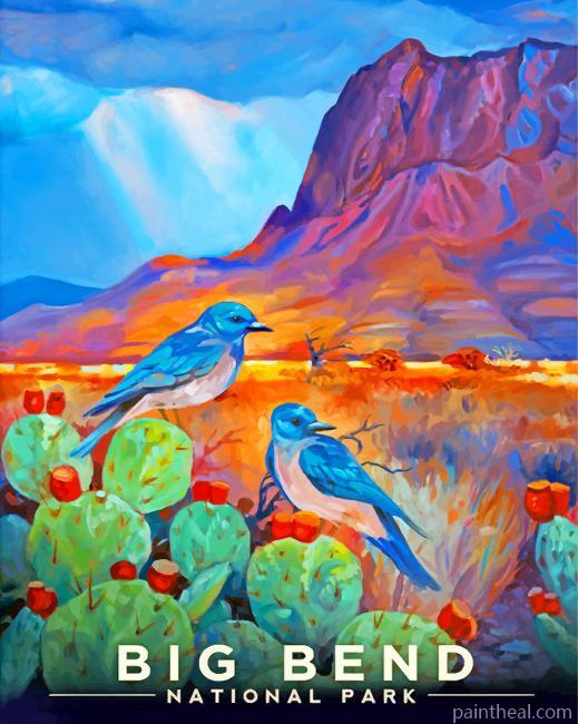 Big Bend Painting By Numbers Kits