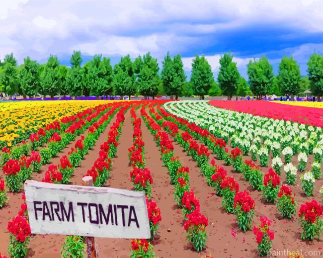 Farm Tomita Painting By Numbers Kits