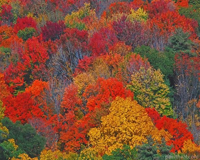 New England Fall Foliage Painting By Numbers Kits