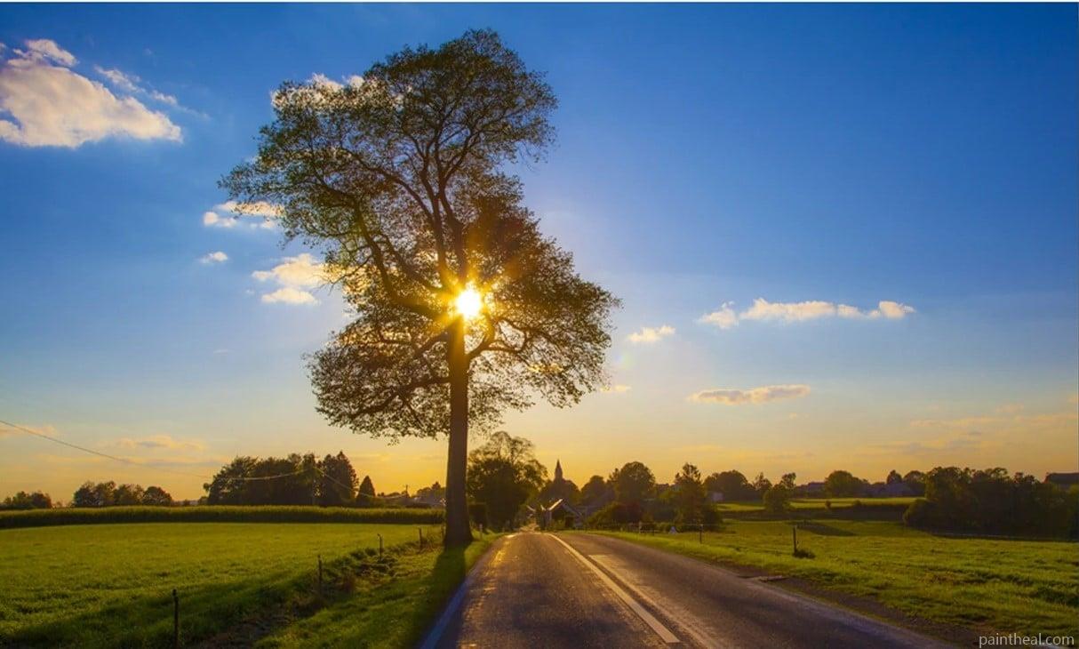 Nature Road At Sunrise Painting By Numbers Kits