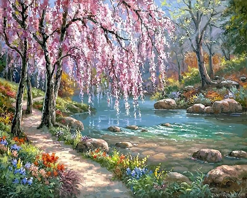 Cherry Blossom Tree Near River Landscape Painting By Numbers Kits