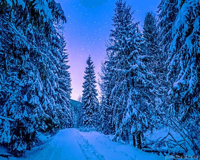 Trees Covered With Snow Painting By Numbers Kits