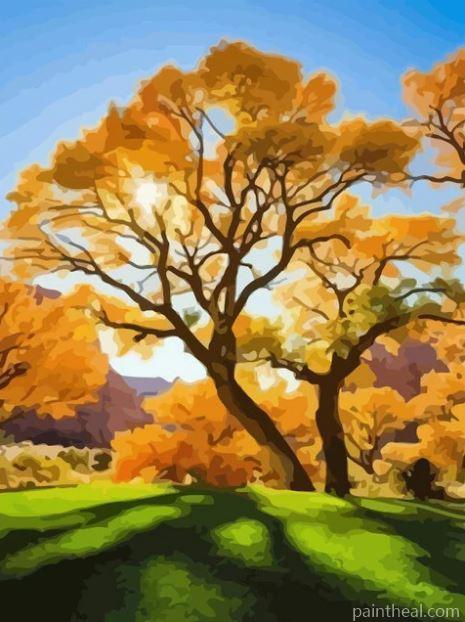 Autumn Yellow Trees Painting By Numbers Kits