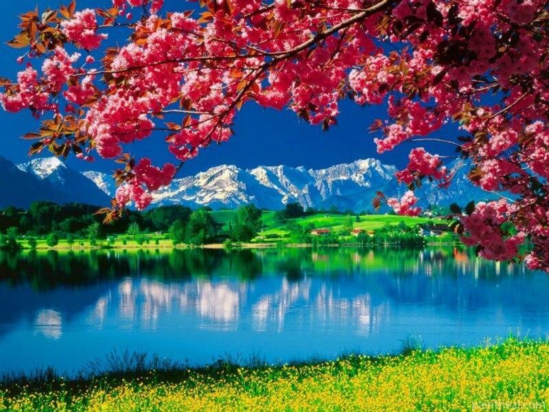 Natural Landscape Lake Painting By Numbers Kits