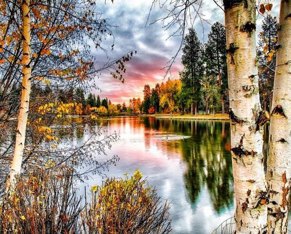 Forest Valley Landscape Painting By Numbers Kits