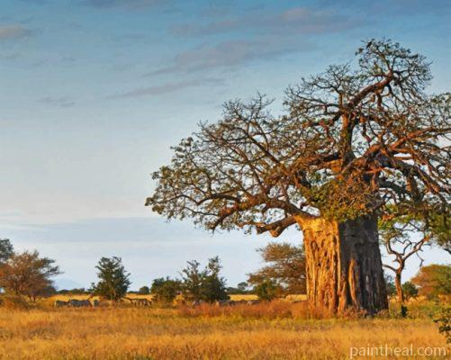 Aesthetic Baobab Tree Painting By Numbers Kits