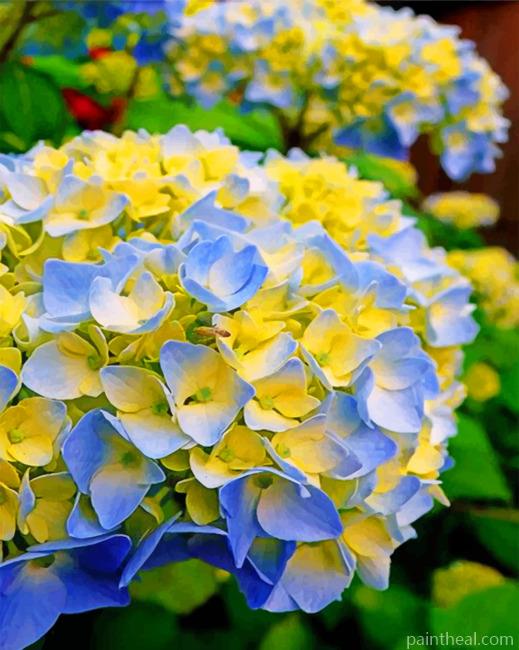 Blue And Yellow Hydrangea Painting By Numbers Kits