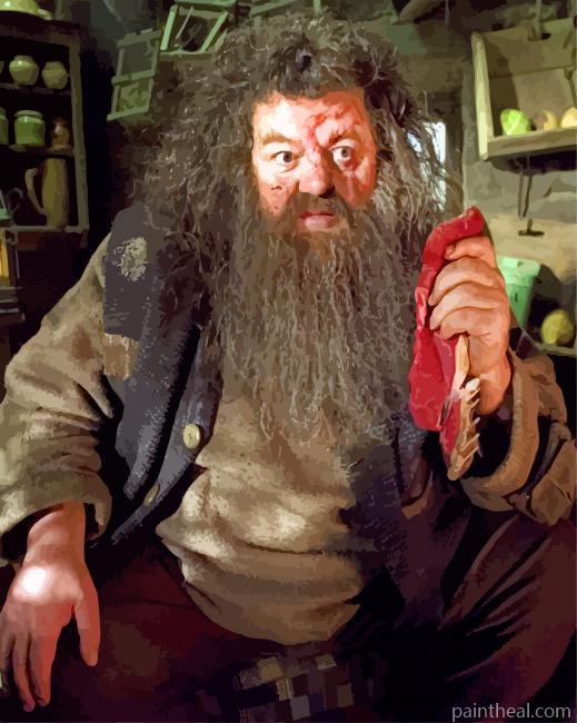 Rubeus Hagrid Painting By Numbers Kits