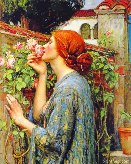 The Soul Of The Rose Painting By Numbers Kits