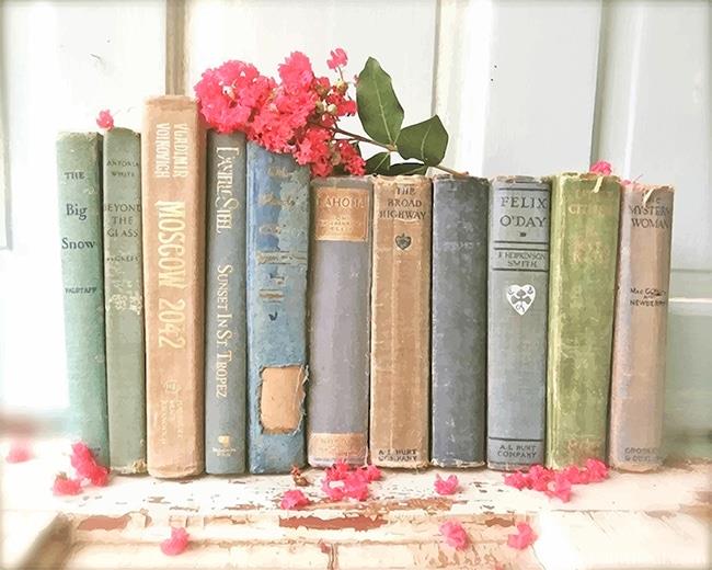 Vintage Books Painting By Numbers Kits
