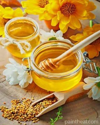 Honey Photoshoot Painting By Numbers Kits