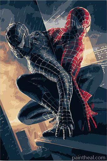Double Spider Man Picture Painting By Numbers Kits