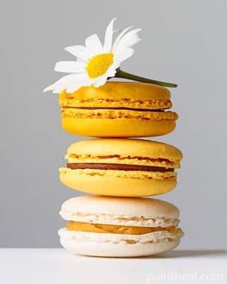 Yellow Macarons Painting By Numbers Kits