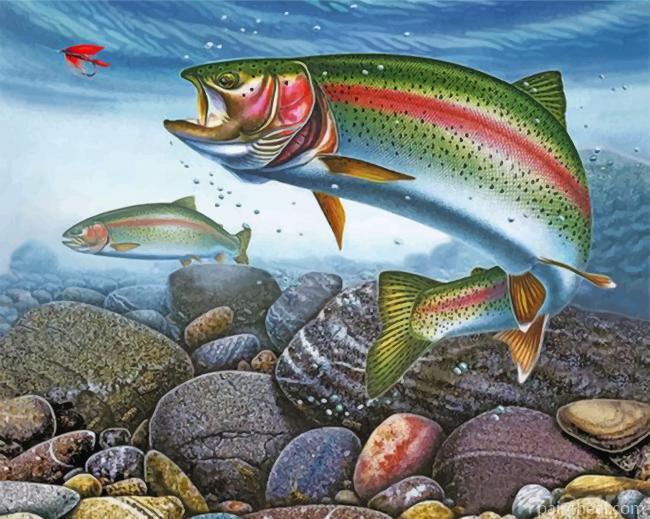 Rainbow Trout Painting By Numbers Kits
