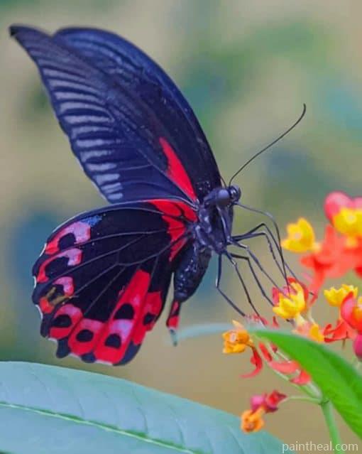Swallowtail Butterfly – 5D Diamond Paintings Painting By Numbers Kits