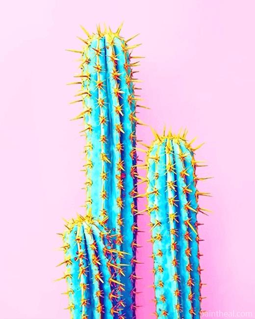 Blue Cactus Painting By Numbers Kits