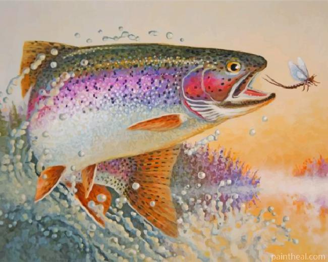 Rainbow Trout Fish Painting By Numbers Kits