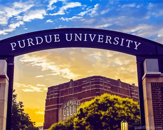 Purdue University Painting By Numbers Kits