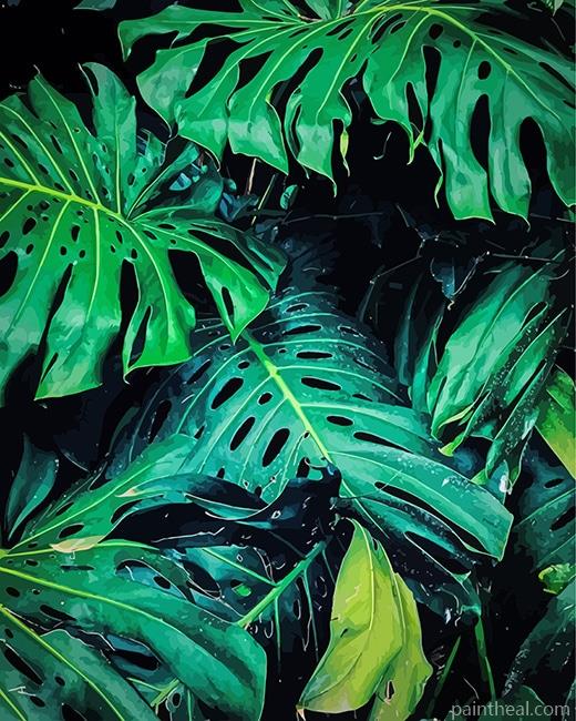 False Philodendron Painting By Numbers Kits