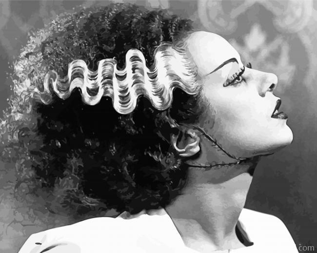 Vintage Monochrome Bride of Frankenstein Painting By Numbers Kits